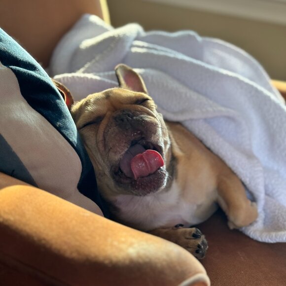 Meet your Posher, Angella - Picture 4 of 15